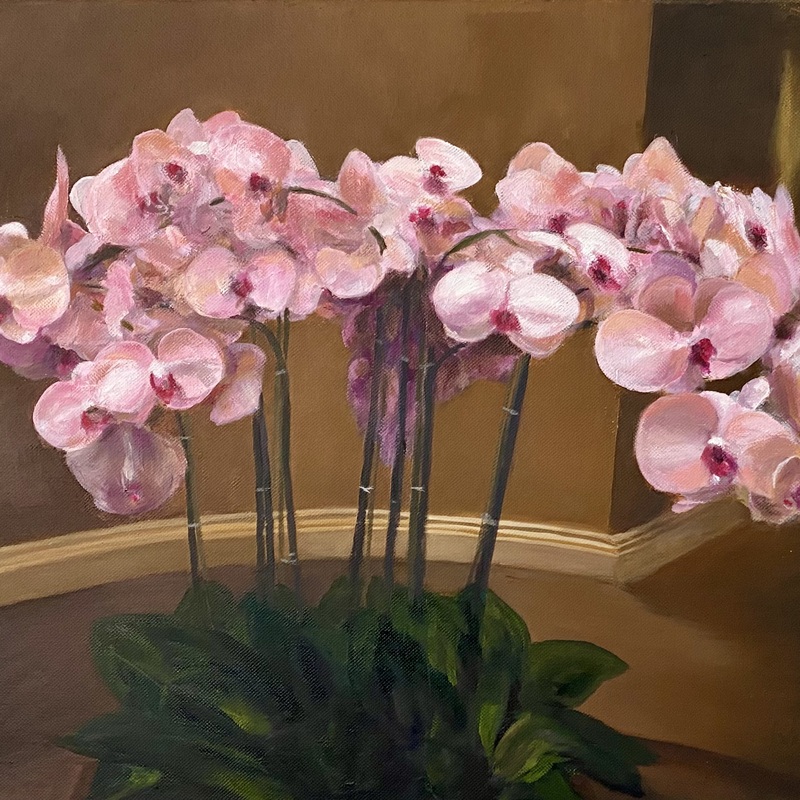 Spray of Orchids