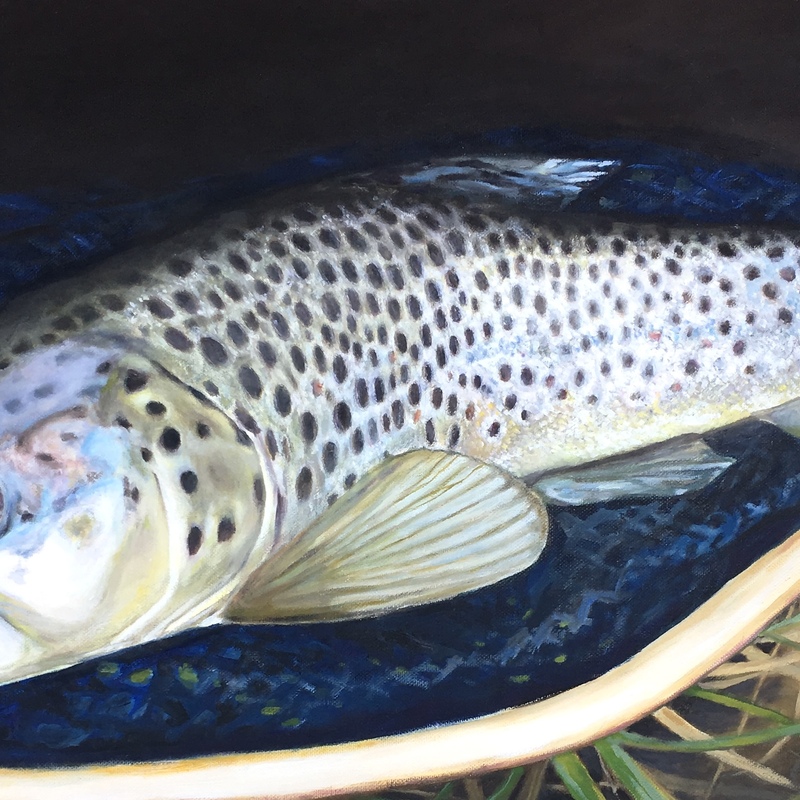 Brown Trout